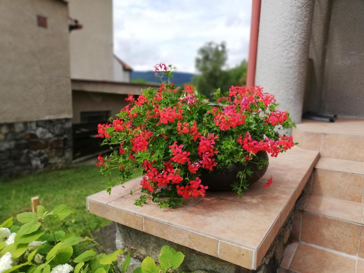 Villa Oliva Český Krumlov Εξωτερικό φωτογραφία