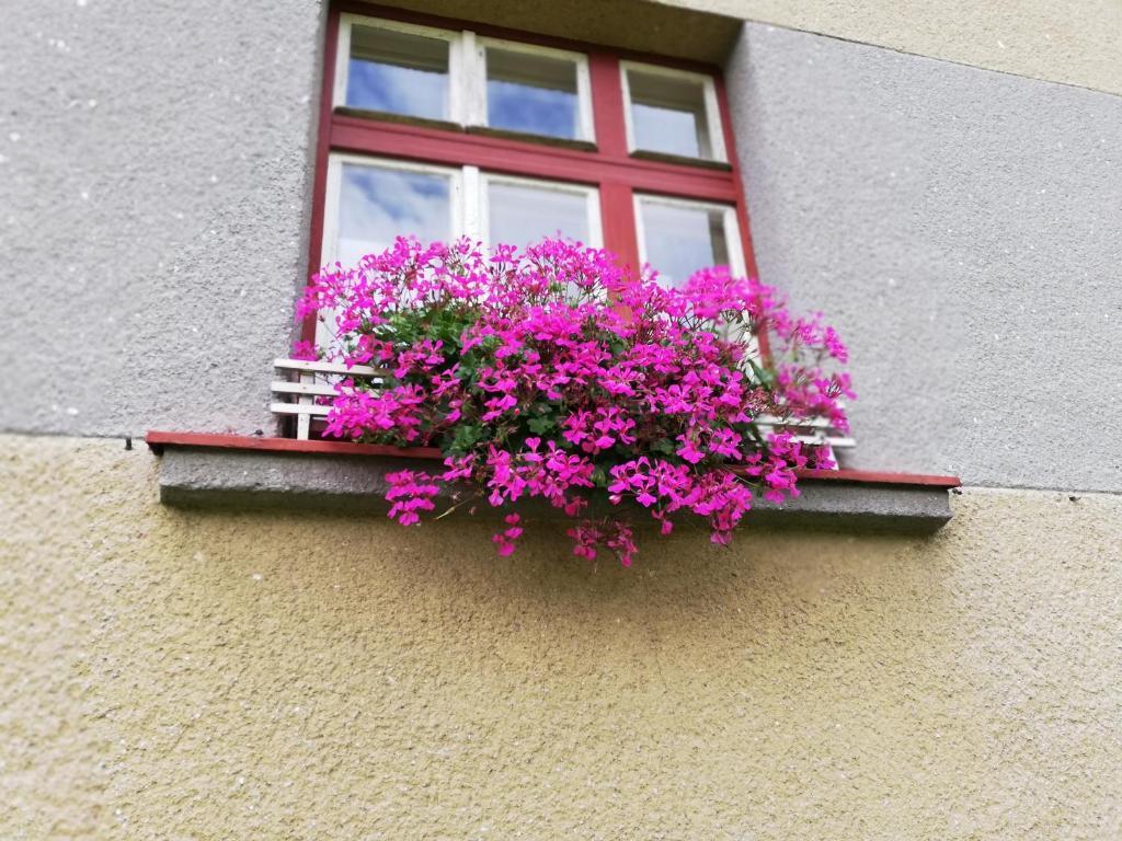 Villa Oliva Český Krumlov Εξωτερικό φωτογραφία